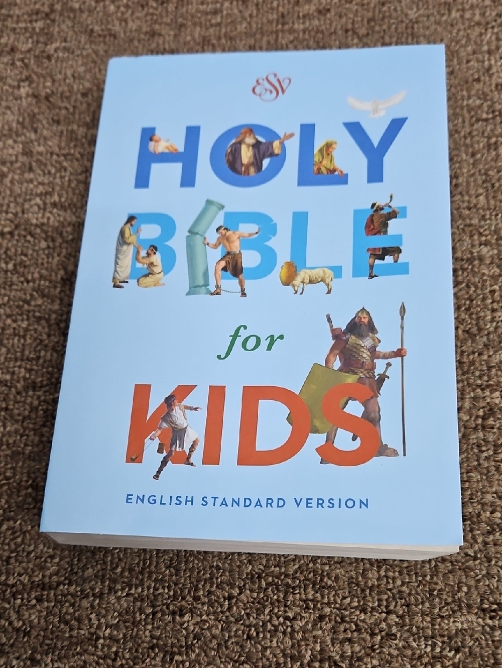 The Holy Bible for Kids ESV 2016 Version Paperback